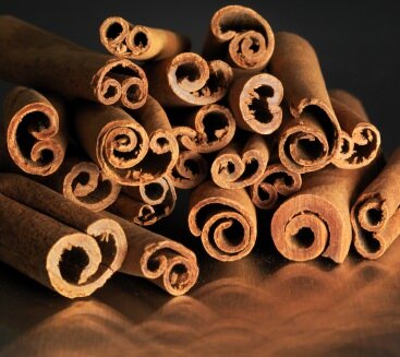 Zimtbaum (Cinnamomum zeylanicum)