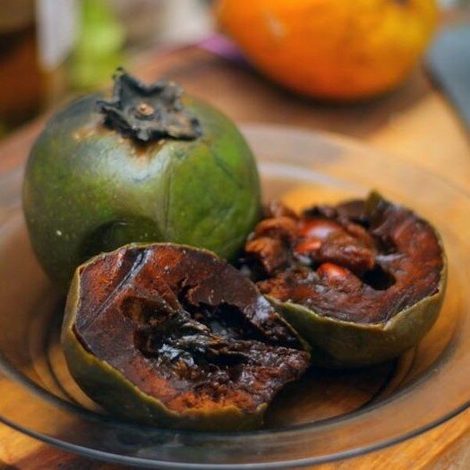 Schwarze Sapote (Diospyros digyna)
