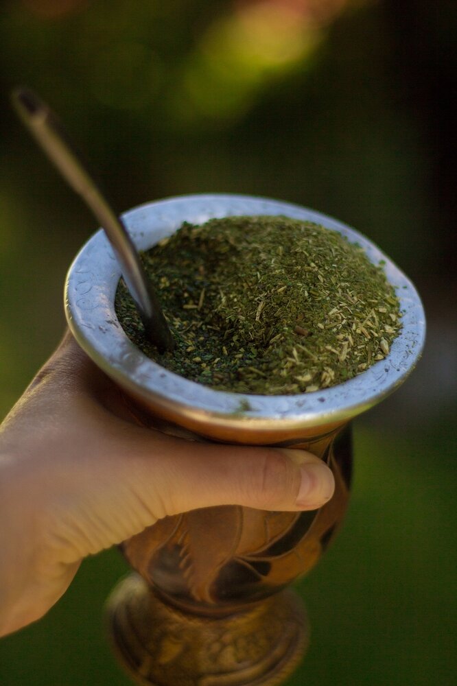 Mate (Ilex paraguariensis)