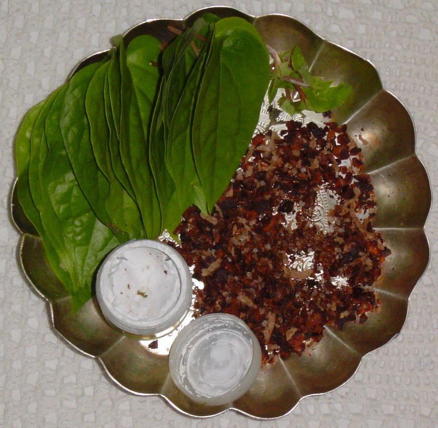 Betelpalme (Areca catechu)