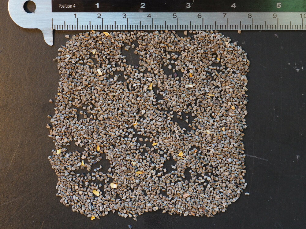 Rotgr&uuml;ner K&auml;nguruphote (Anigozanthos manglesii)