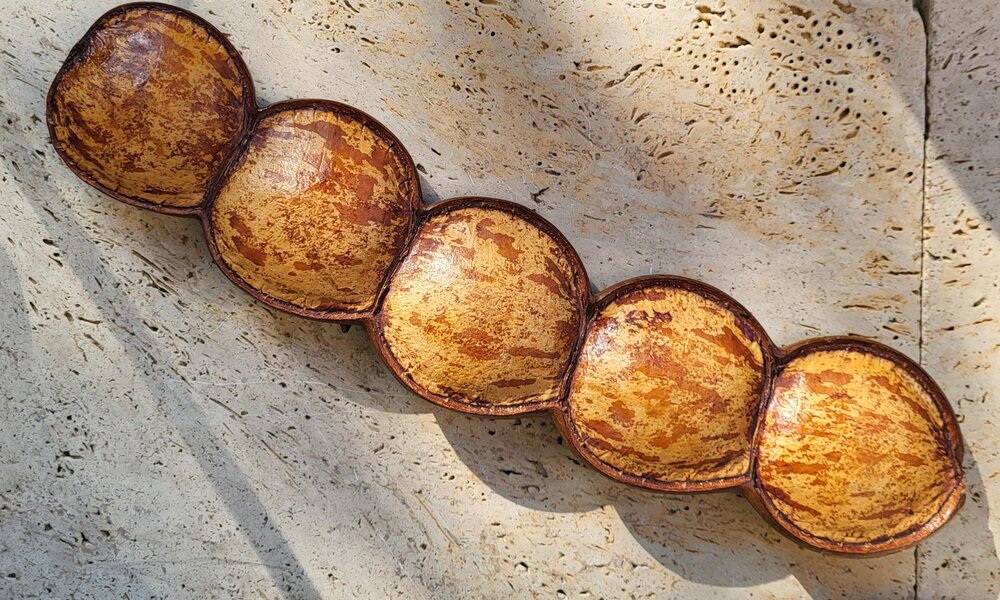 Meeresherz (Entada gigas)