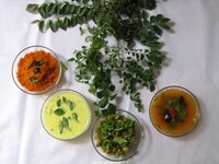 Currybaum (Murraya koenigii)