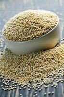 Quinoa (Chenopodium quinoa)