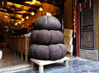 Yunnan-Teepflanze (Camellia taliensis)