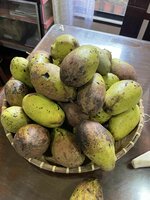 Wei&szlig;e Mango (Mangifera caesia)