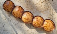 Meeresherz (Entada gigas)