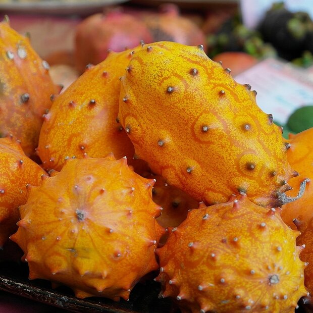 Kiwano (Cucumis metuliferus)